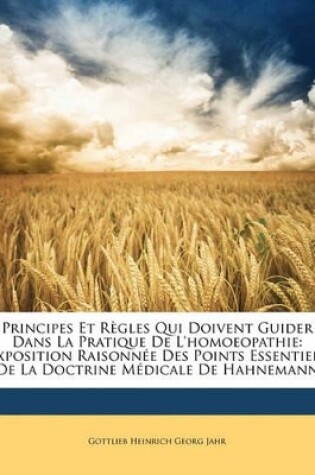 Cover of Principes Et Regles Qui Doivent Guider Dans La Pratique de L'Homoeopathie