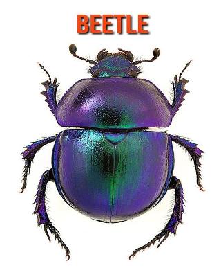 Book cover for Beetle