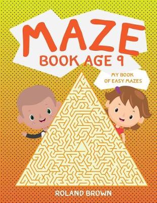 Book cover for Maze book age 9