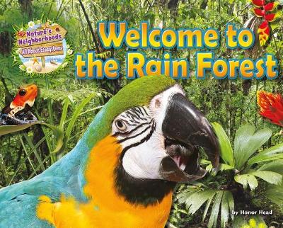 Book cover for Welcome to the Rain Forest
