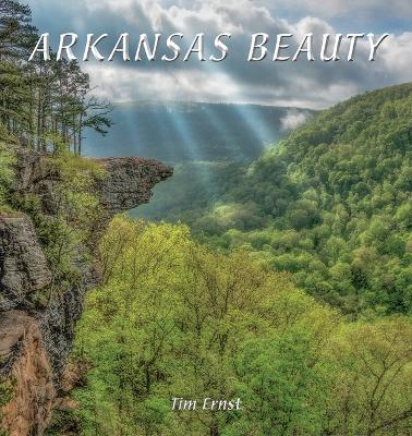 Book cover for Arkansas Beauty