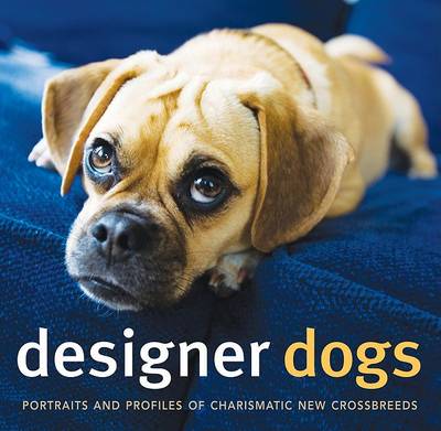 Book cover for Designer Dogs