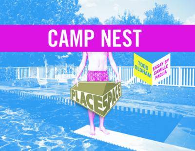 Cover of Camp Nest