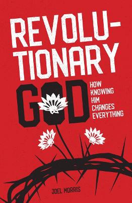 Book cover for Revolutionary God