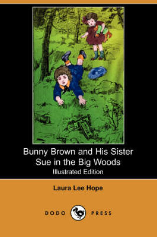 Cover of Bunny Brown and His Sister Sue in the Big Woods(Dodo Press)