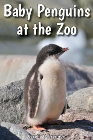 Cover of Baby Penguins at the Zoo