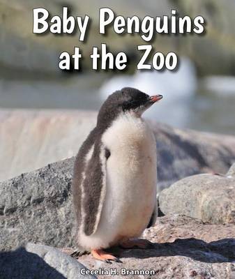 Book cover for Baby Penguins at the Zoo