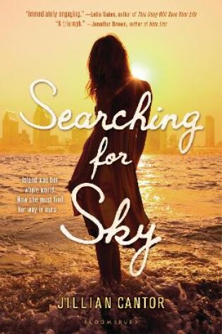 Cover of Searching for Sky