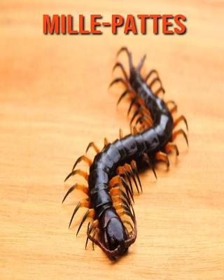 Book cover for Mille-Pattes