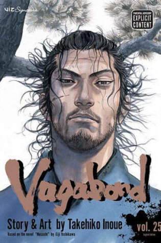 Cover of Vagabond, Vol. 25
