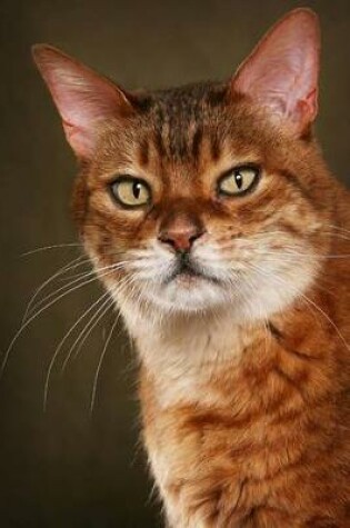 Cover of The Bengal Cat Journal "Laugh It Up, Human. You Have to Sleep Sometime."