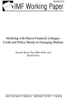 Book cover for Modeling with Macro-Financial Linkages