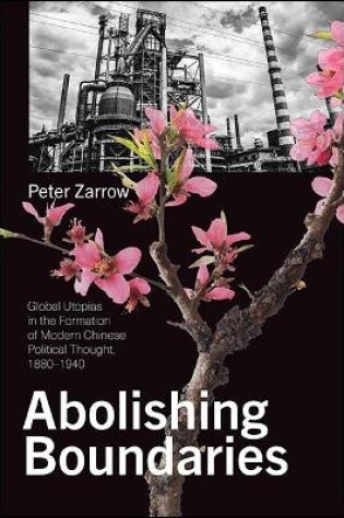 Cover of Abolishing Boundaries