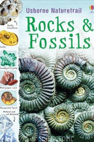 Cover of Rocks and Fossils