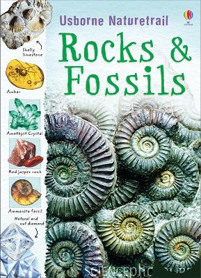 Book cover for Rocks and Fossils