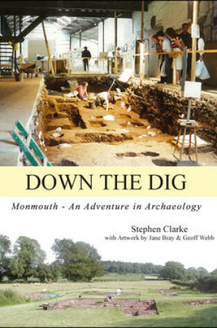 Cover of Down the Dig