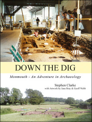 Book cover for Down the Dig