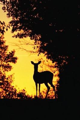 Book cover for Doe a Deer Notebook