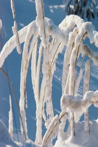 Cover of Journal Snow Covered Twigs