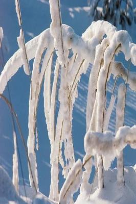 Book cover for Journal Snow Covered Twigs