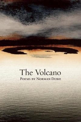 Book cover for The Volcano