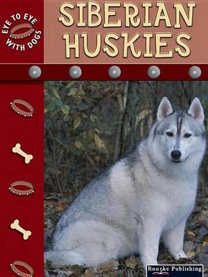 Book cover for Siberian Huskies