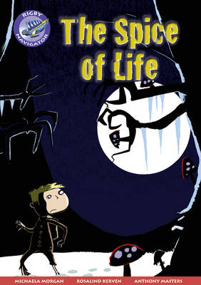 Book cover for Navigator New Guided Reading Fiction Year 5, Spice of Life GRP