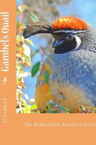 Cover of Gambel's Quail