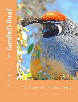 Book cover for Gambel's Quail