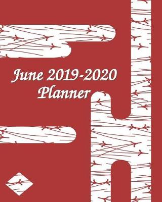 Book cover for June 2019-2020 Planner