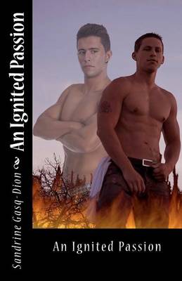 Book cover for An Ignited Passion