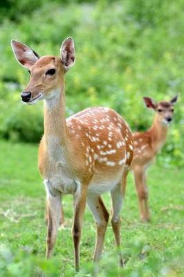 Book cover for The Sika Deer Journal