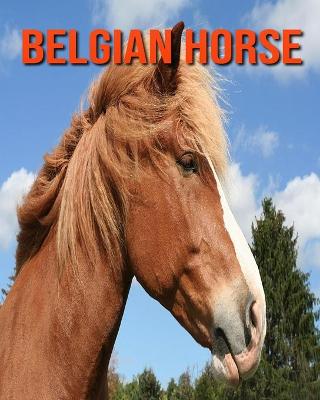 Book cover for Belgian Horse