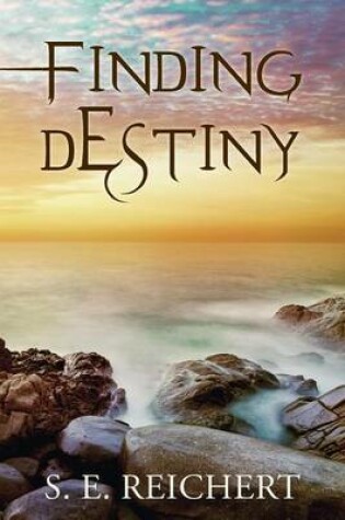 Cover of Finding Destiny