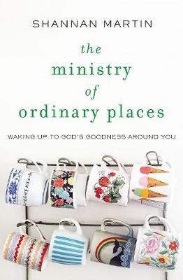 Book cover for The Ministry of Ordinary Places