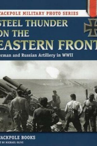 Cover of Steel Thunder on the Eastern Front