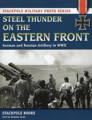 Book cover for Steel Thunder on the Eastern Front