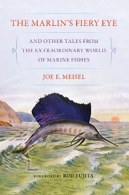 Book cover for The Marlin's Fiery Eye and Other Tales from the Extraordinary World of Marine Fishes