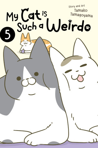 Cover of My Cat is Such a Weirdo Vol. 5