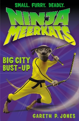 Book cover for Big City Bust-up