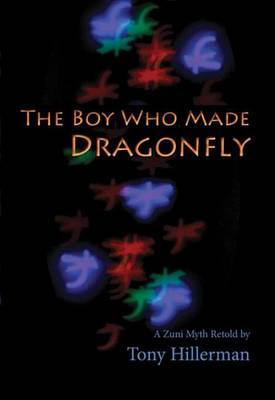 Book cover for The Boy Who Made Dragonfly