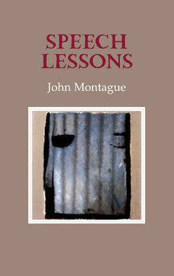 Book cover for Speech Lessons
