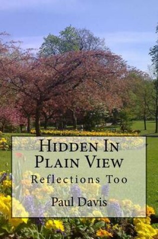 Cover of Hidden in Plain View