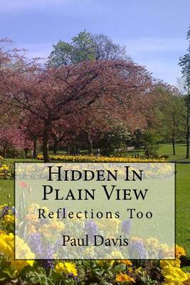 Book cover for Hidden in Plain View