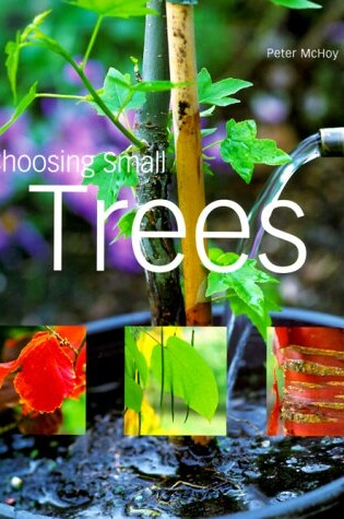 Cover of Choosing Small Trees