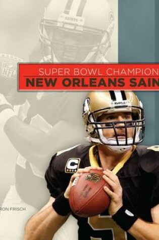 Cover of New Orleans Saints