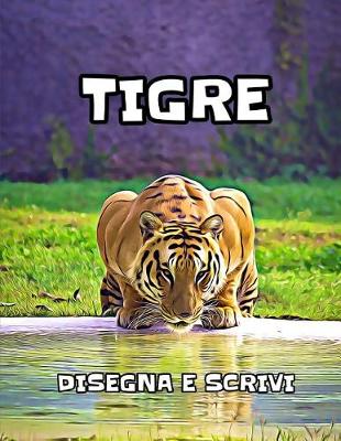Book cover for Tigre