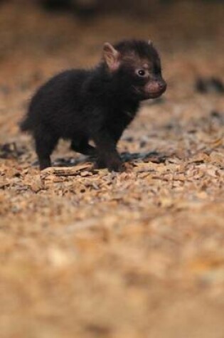 Cover of Baby Bush Dog Puppy Journal