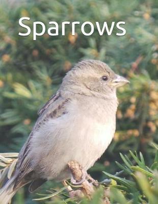 Book cover for Sparrows