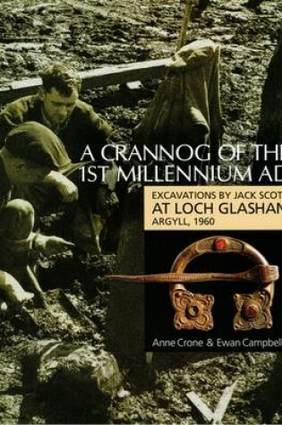 Cover of A Crannog of the First Millenium AD